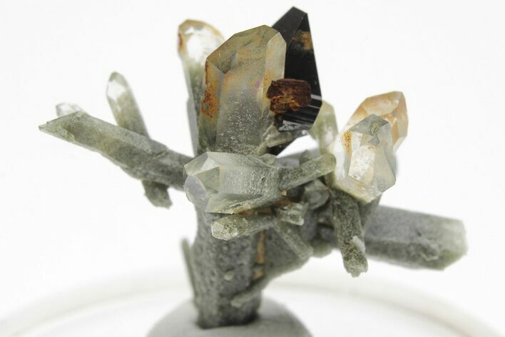 Anatase Crystal on Quartz with Chlorite Inclusions - Pakistan #207170